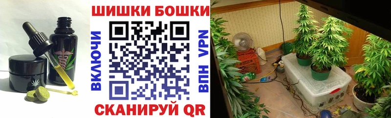 Купить  Тула  Cannafood конопля 