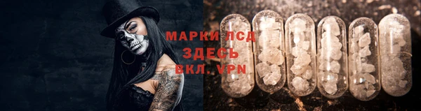 прущая мука Дмитриев