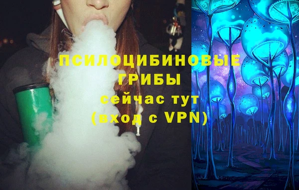 прущая мука Дмитриев