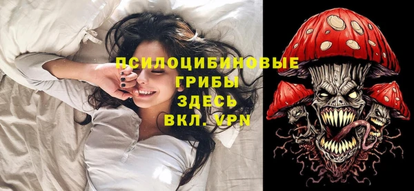 spice Дмитровск